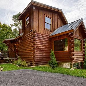 Pandora'S Retreat, Hot Tub, Game Room, 1089 Free Tickets Each Paid Day, Dollywood And More